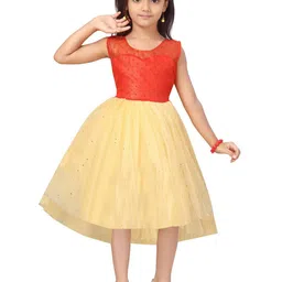 BAESD Self Design Net Sleeveless Fit & Flare Dress-7