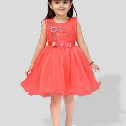 BAESD Girls Net Embellished Fit & Flare Dress-picture-50