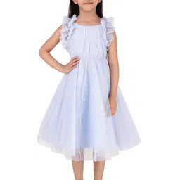 Miyo Girls Round Neck Flutter Sleeve Fit & Flare Dress-picture-29