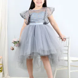 Toy Balloon kids Grey Flutter Sleeve Net Fit & Flare Dress-image-75