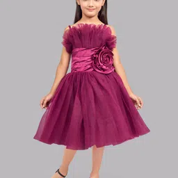 Pink Chick Girls Ruffled Tulle Net Fit & Flare Midi Dress-image-85