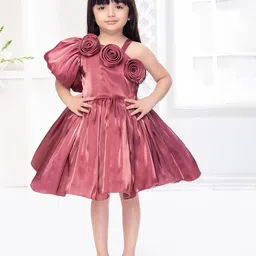 Ministitch One Shoulder Puff Sleeve Applique Fit & Flare Dress-image-62