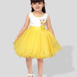 BAESD Girls Floral Printed Net Fit & Flare Dress-image-64