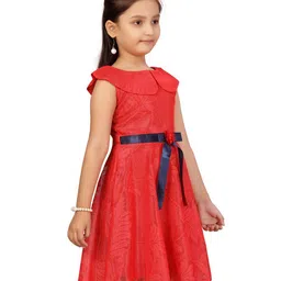 Aarika Red Net Self Design Dress image 4