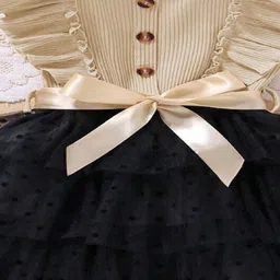 BAESD Net Fit & Flare Dress image 3