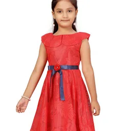 Aarika Red Net Self Design Dress image 3