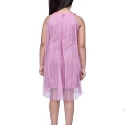 Peppermint Mauve Embellished Net A-Line Dress image 4