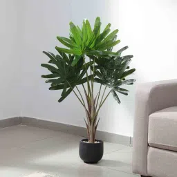 fourwalls Plastic Green Rhapis Artifical Without Pot Artificial Plants-picture-12