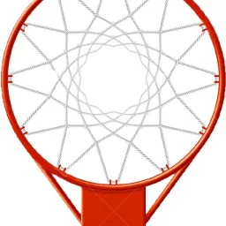 Professional Basketball Ring-image-18