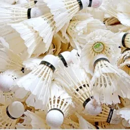 feather white 8876 shuttle pack of 10 Feather Shuttle - White-26