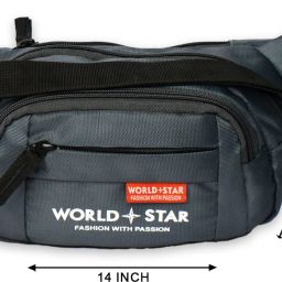 Worldstar Elegant Style Travel Pouch Passport Holder Waist Bag Travel/Passport Holder/ Adjustable Strap/Bumbag Waist Bag Waist Bag-image-68