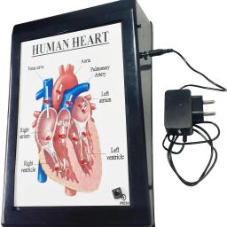 Human Heart Biology Science Working Project With LED Light LOCTAS Teaching Aids.-27