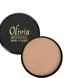 Waterproof Pan-Cake Concealer-24