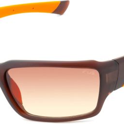 UV Protection Sports Sunglasses (66)-picture-21