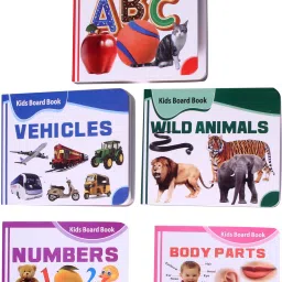 Pocket Board Book Set of Alphabets, Body Parts, Numbers, Animals, Vehicles-image-3