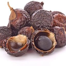 REETHA Seed-image-22