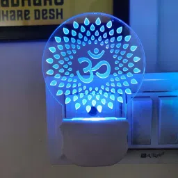 Picture Light Wall Lamp With Bulb-19