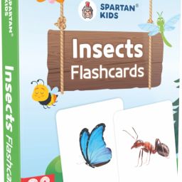 Insect Flash Cards | 28 Early Learning Flash Cards for Kids-27
