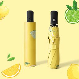 UMB026 3 Fold Automatic Umbrella-24