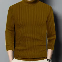 Men Solid High Neck Brown Sweater-image-38