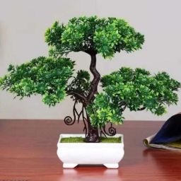 Artificial Green Bonsai Tree with Plastiic Pot for Home Decorations Bonsai Wild Artificial Plant with Pot-image-11