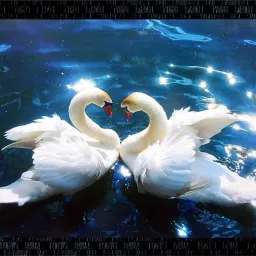 Duck Photo Frame Digital Reprint 8 inch x 10 inch Painting-24