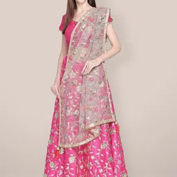 Dupatta Bazaar Embroidered Dupatta with Zari image 3