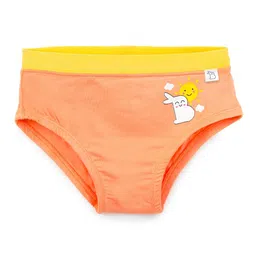 SuperBottoms Girls Graphic Printed Basic Brief-image-90