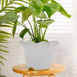 Kuber Industries White Planter With Drain Holes-43