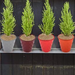 Kuber Industries Grey Textured Brick Flower Planter-18