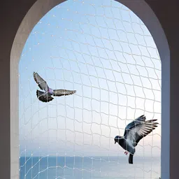 Kuber Industries White Child Protection Bird Net image 3