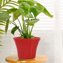 Kuber Industries Red Textured Planter-1