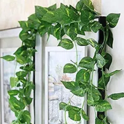 8ft Set of 4 Artificial Money Plant Vine,For|Home|Office|Garden|Decoration Artificial Plant-50