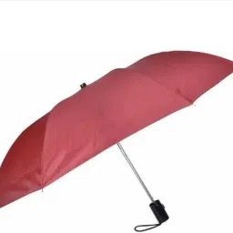 2 fold auto open umbrella 21 inch Umbrella-19