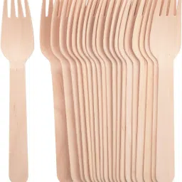 Wooden Fork Disposable Wooden Dessert Fork Set-11