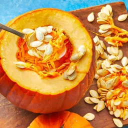 hybrid american pumpkin seeds Seed-image-95
