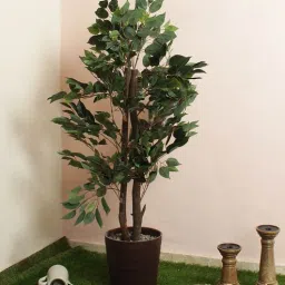 fourwalls Plastic Green Areca Floor Without Pot Artificial Plants-picture-0