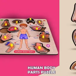 Wooden Human Body Parts Puzzle Games and Learning Educational Board for Kids-image-23