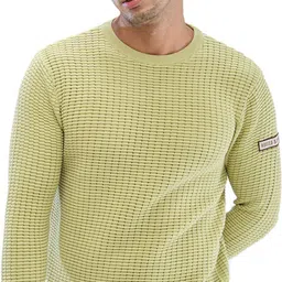 spykar Men Self Design Round Neck Green Sweater-picture-23