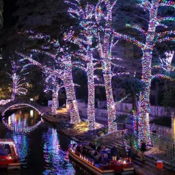 quace 40 LEDs 12 m Multicolor Steady String Rice Lights image 2