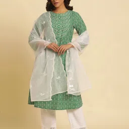 W Paisley Embroidered Organza Dupatta with Thread Work-image-39