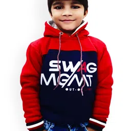 BAESD Boys Colourblocked Hooded Pullover Sweatshirt-image-82