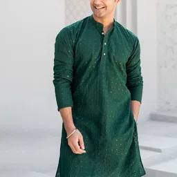 Shasak Ethnic Motifs Embroidered Chikankari Sequined Cotton Straight Kurta-picture-47
