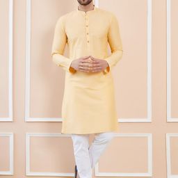 See Designs Mandarin Collar Cotton Straight Kurta-picture-40