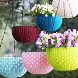 wens Assorted 1 Pc Hanging Planter-picture-20