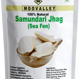 SAMUNDRI JHAG / CUTTLEFISH BONE/ MARINE FOAM-26