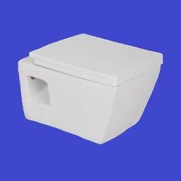 Wall Mounted Rimless Wall Hung EWC Western Commode Toilet Water Closet Entic Western Commode-25
