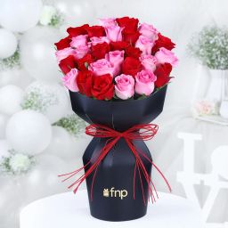 Roses Combo Harmony image 3