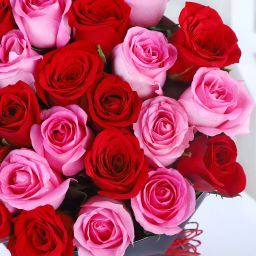 Roses Combo Harmony image 4