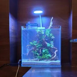 White LED Aquarium Light-image-27